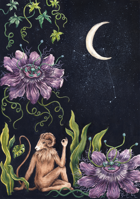 Midnight Moon