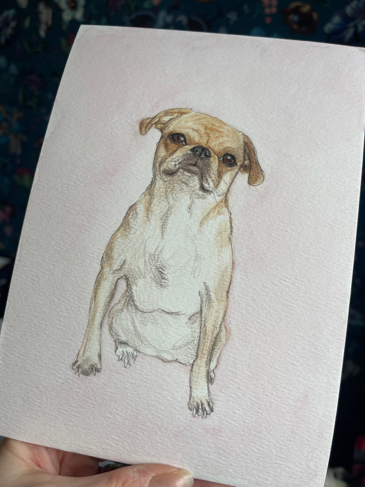 Watercolour Dog Portrait From Photo