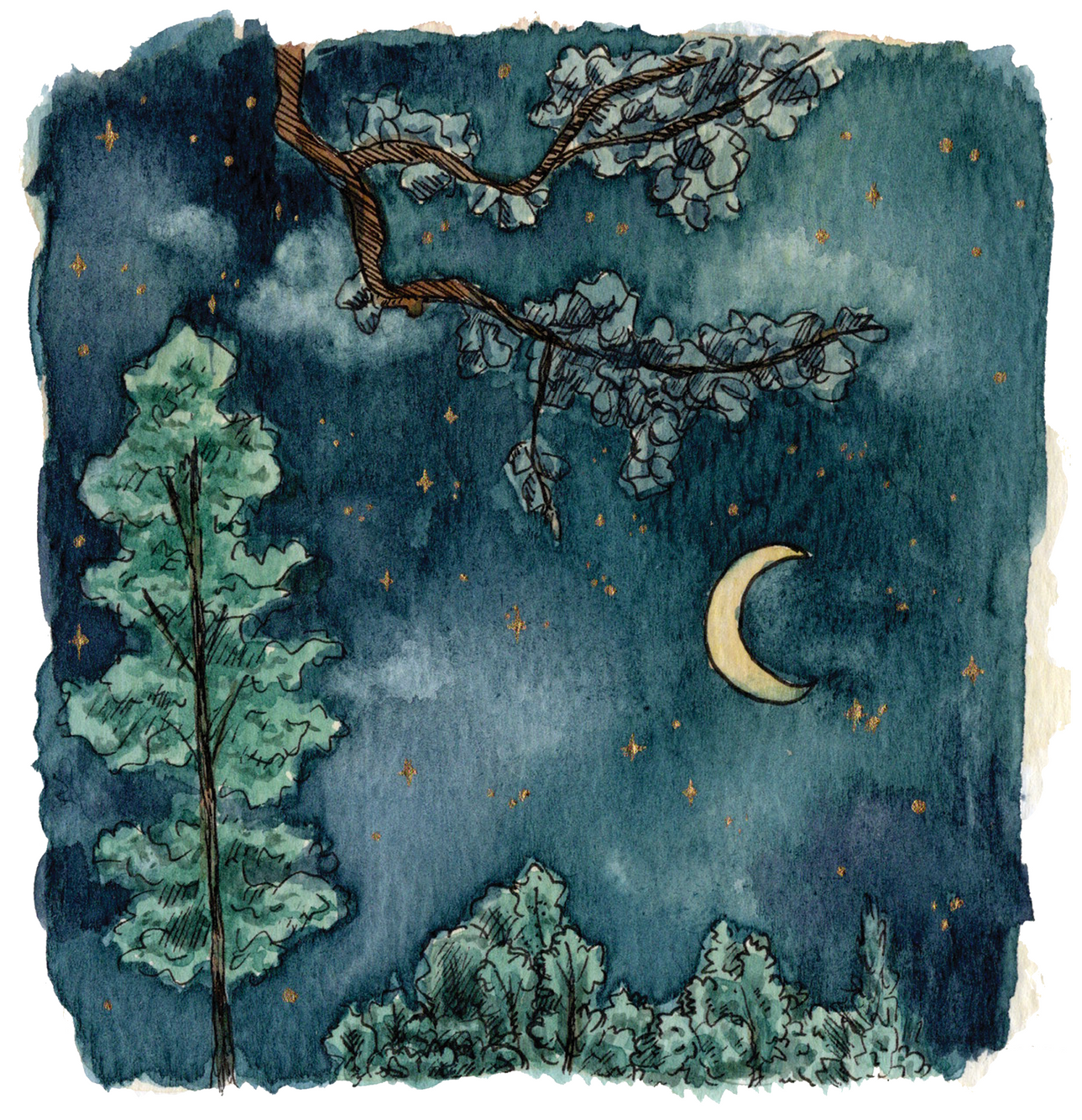 Hand painted forest in ink and watercolour