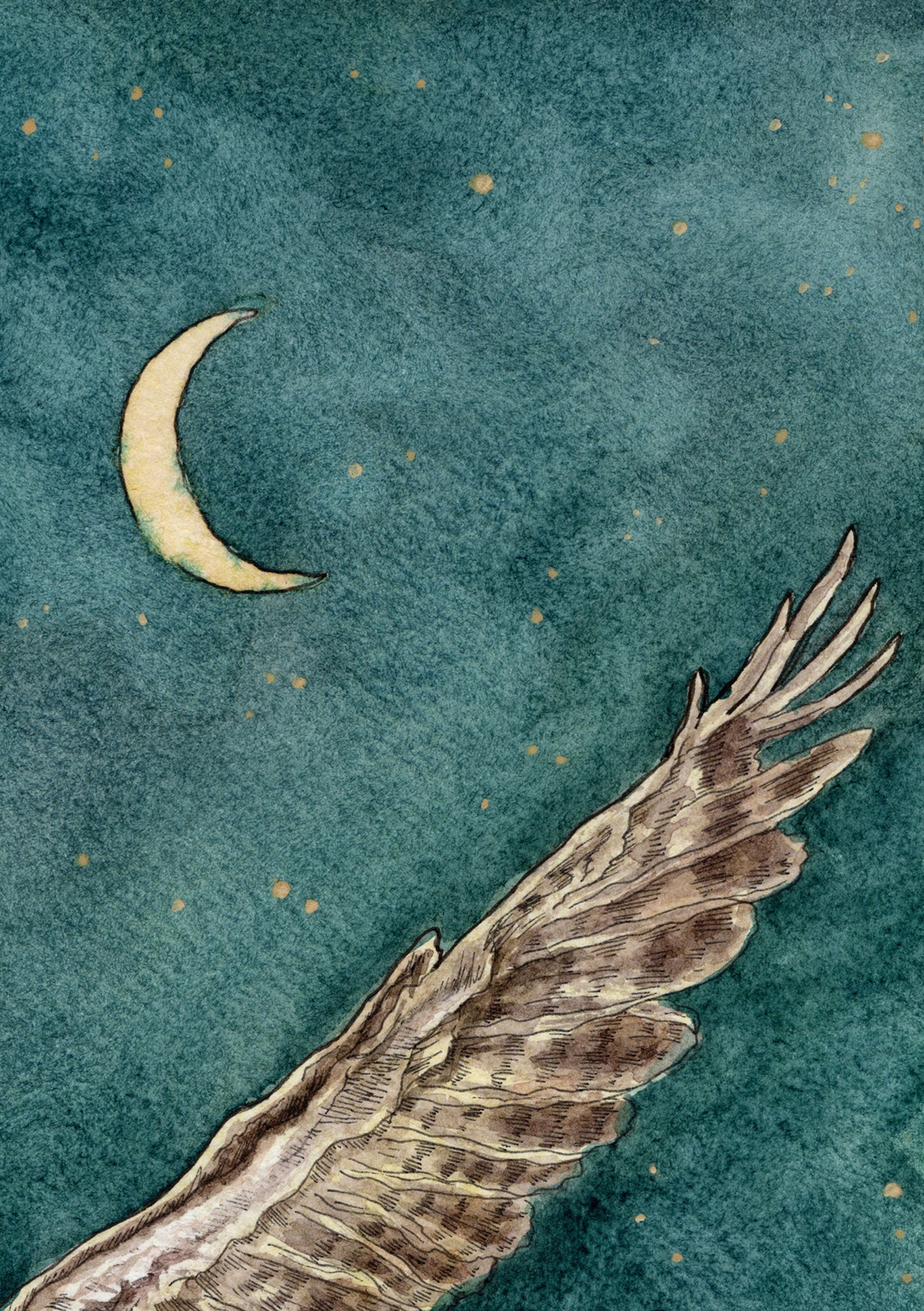 Owl In Flight | Print