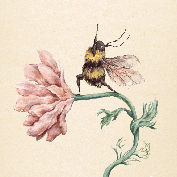a print of a watercolour yoga bee illustration
