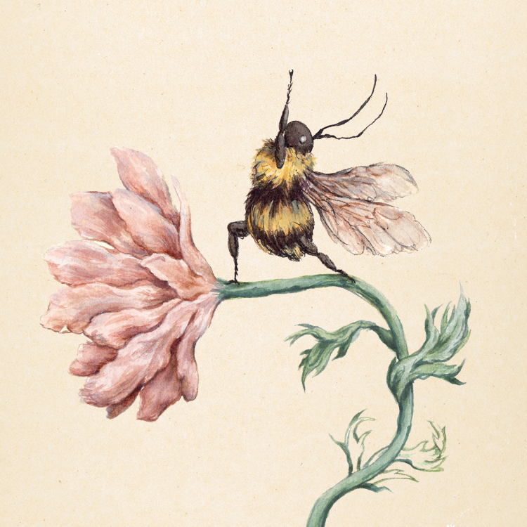 Yogi Bee | Print