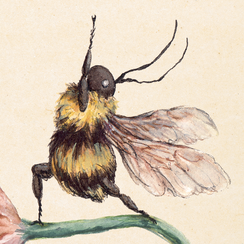 a bee doing yoga illustrated in watercolour