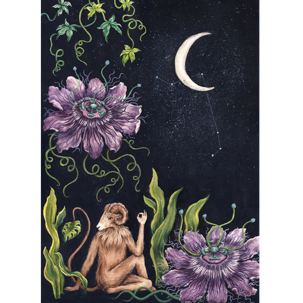 Midnight Moon | Print