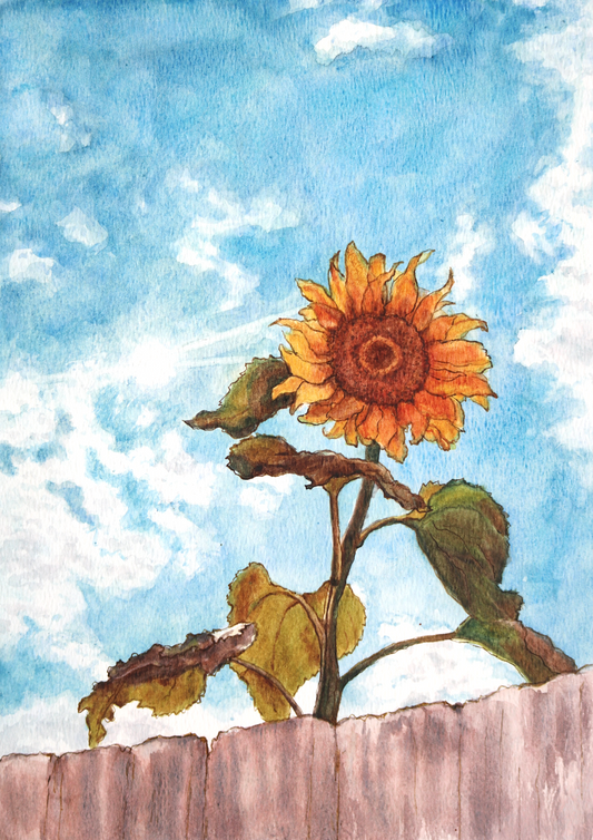 The Friary Sunflower | Watercolour Painting
