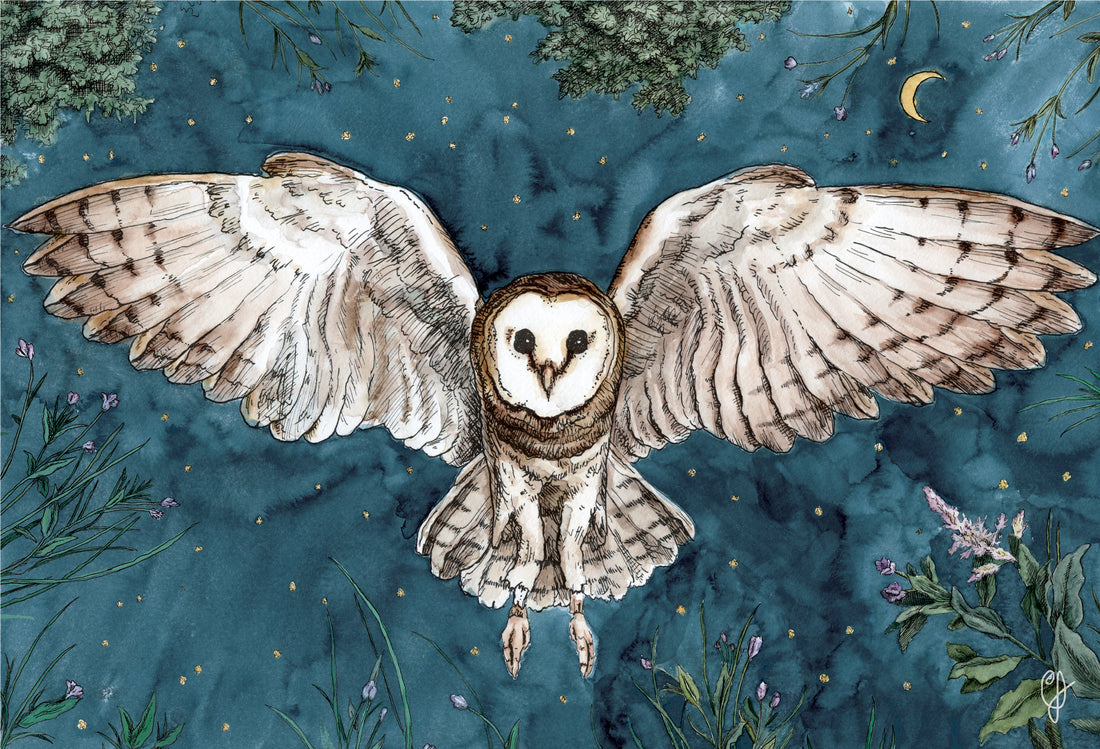 Drawing 'The Owl Guide' in Ink