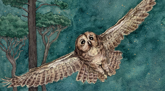 Painting 'Owl In Flight'