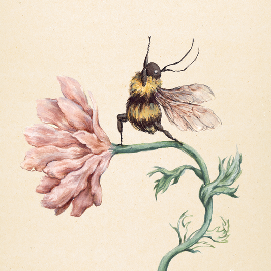 Yogi Bee