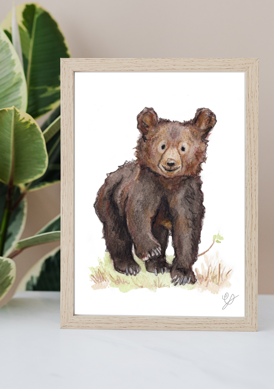 Bear Illustration