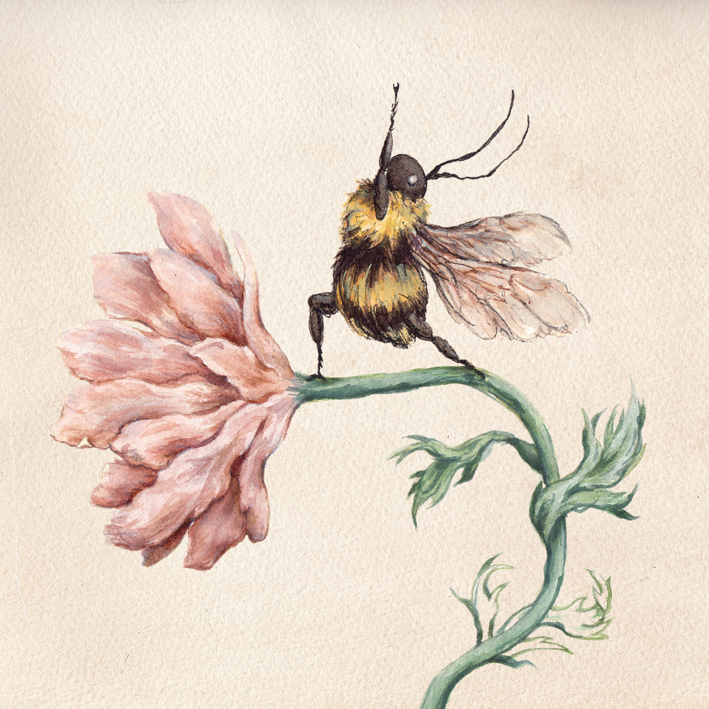 Watercolour artwork by Green Fox Illustration