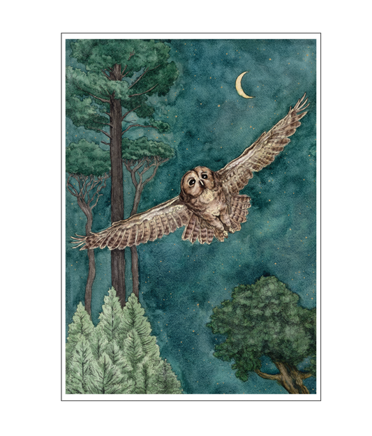 Owl In Flight | Art Poster A3