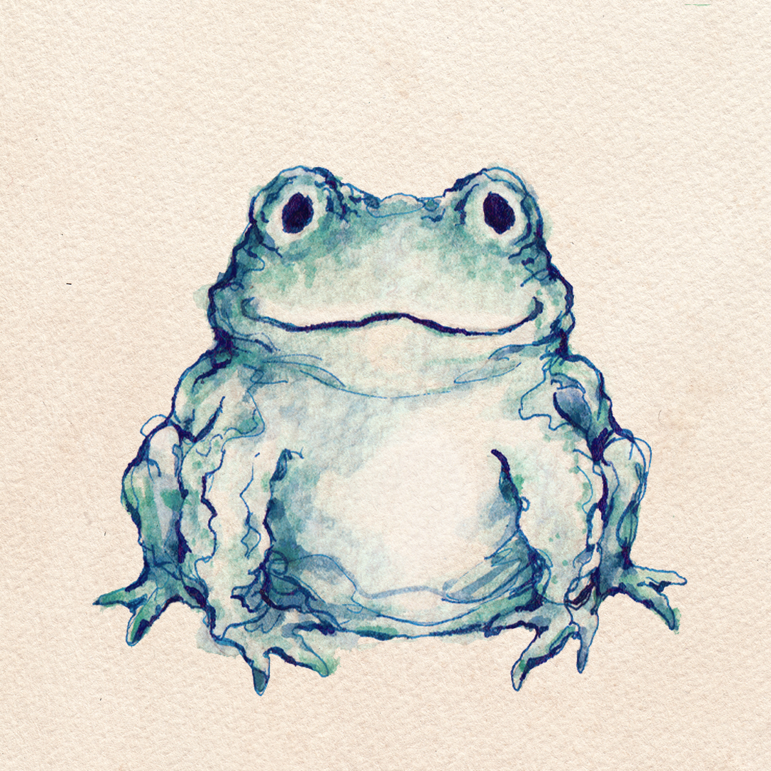 Toad Illustration | Watercolour