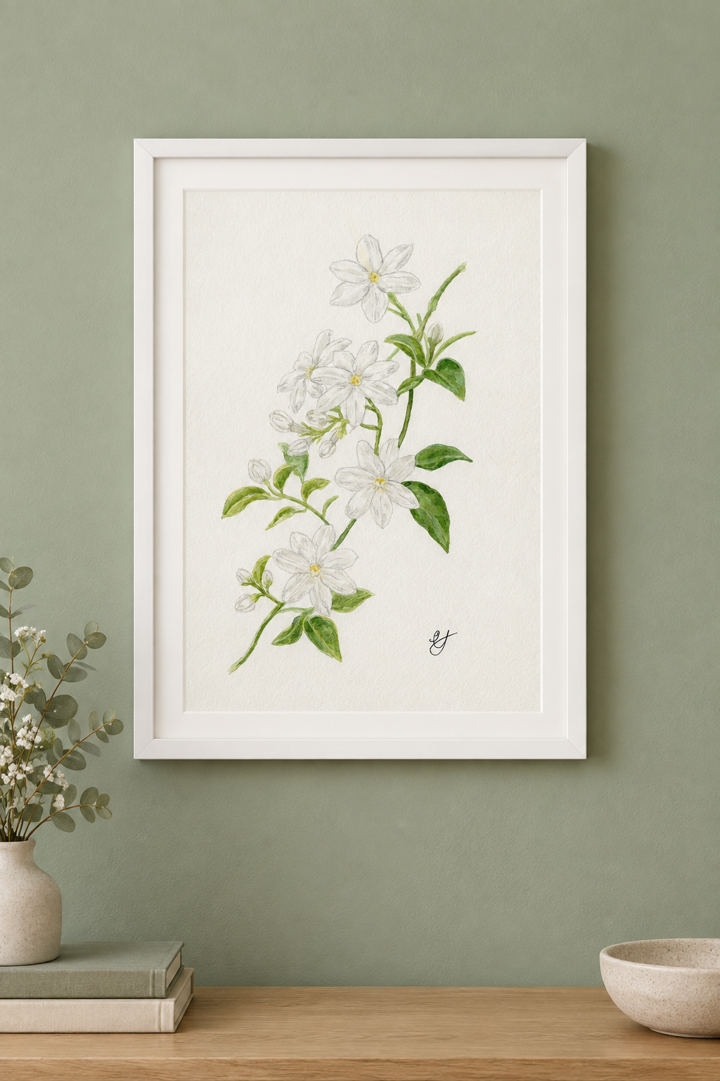Jasmine Illustration