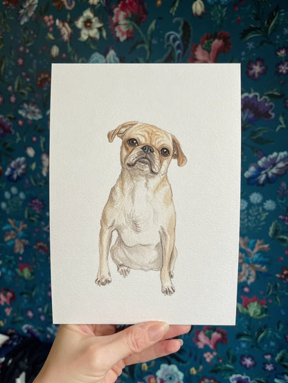 Watercolour Dog Portrait From Photo