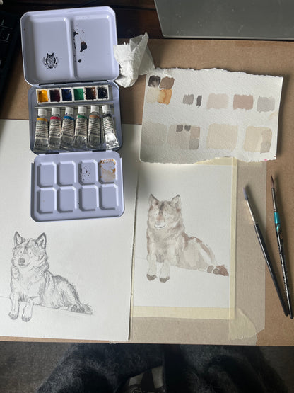 Wolf Illustration | Original Watercolour
