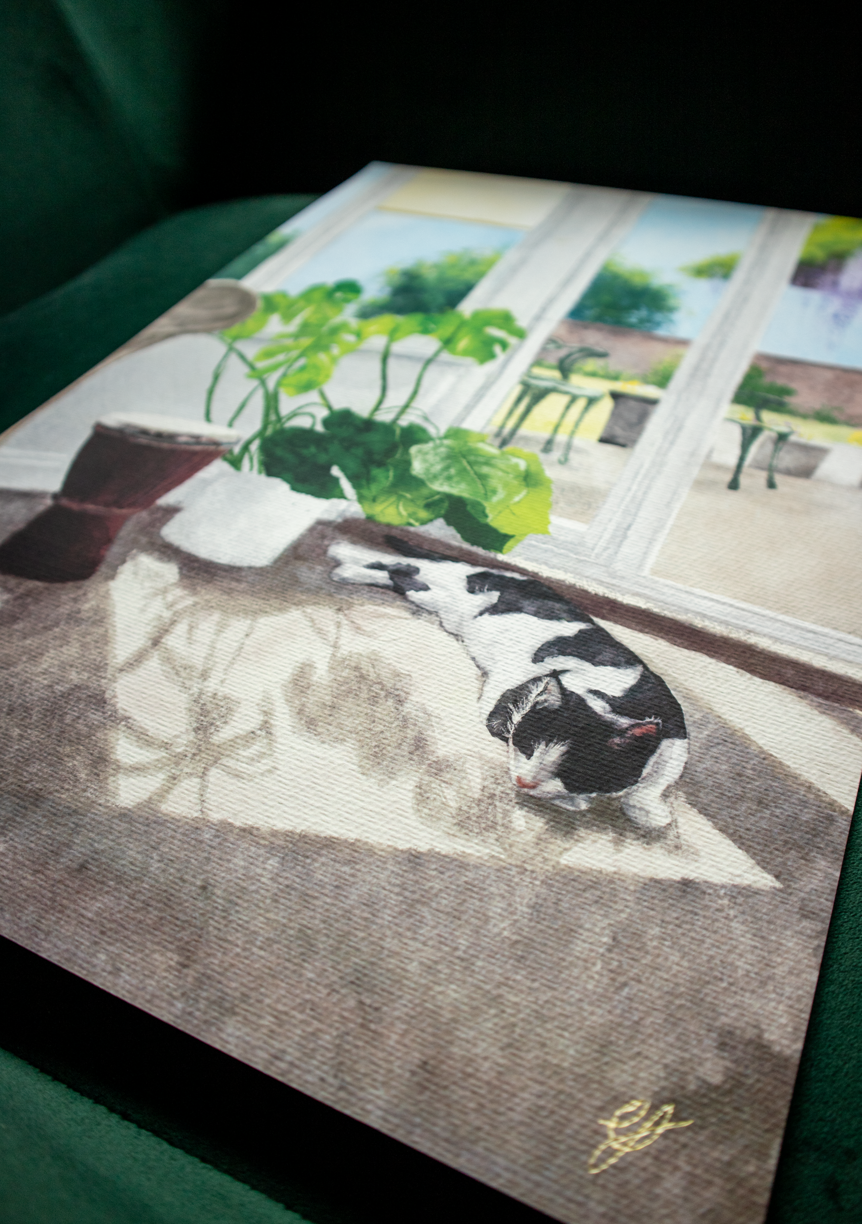 a high quality archival print of my digital watercolour illustration of a cat taking a nap in a conservatory 