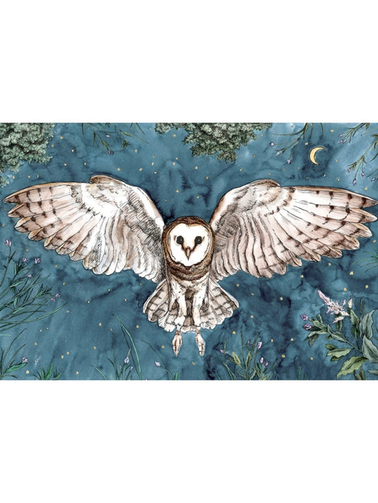 Owl In Flight Illustration | Watercolour
