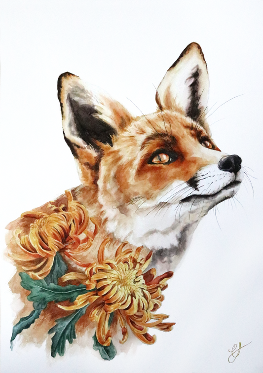 hand painted watercolour fox illustration with chrysanthemum flowers