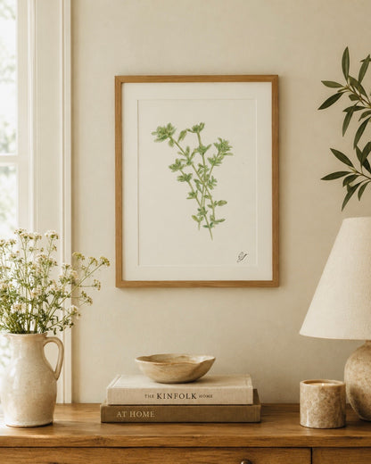 A framed botanical print of my original watercolour illustration of a bunch of Lemon thyme 