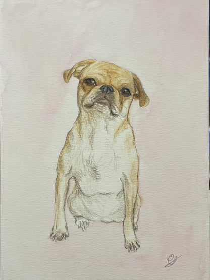 Watercolour Dog Portrait From Photo