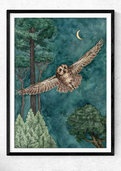 Owl In Flight | Print