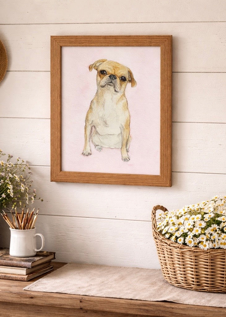 A hand drawn illustration of a french bulldog 