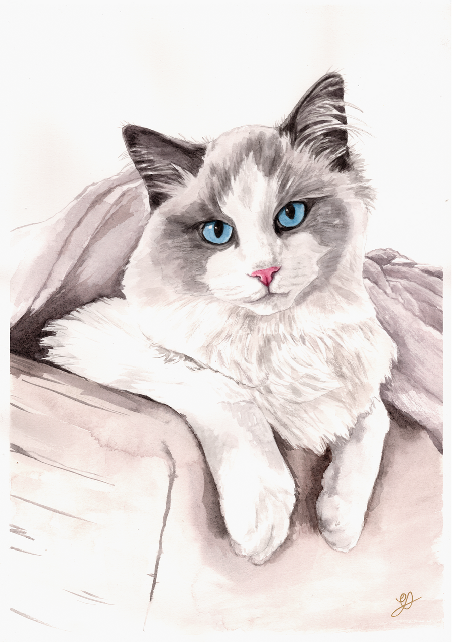 Watercolour artwork by Green Fox Illustration