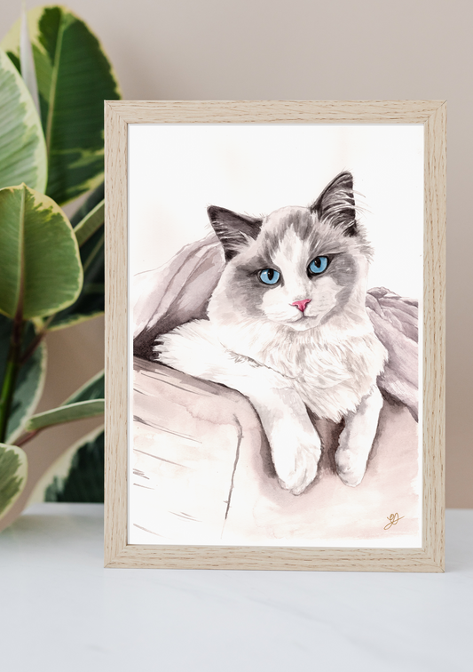 a framed watercolour painting commission of a ragdoll cat