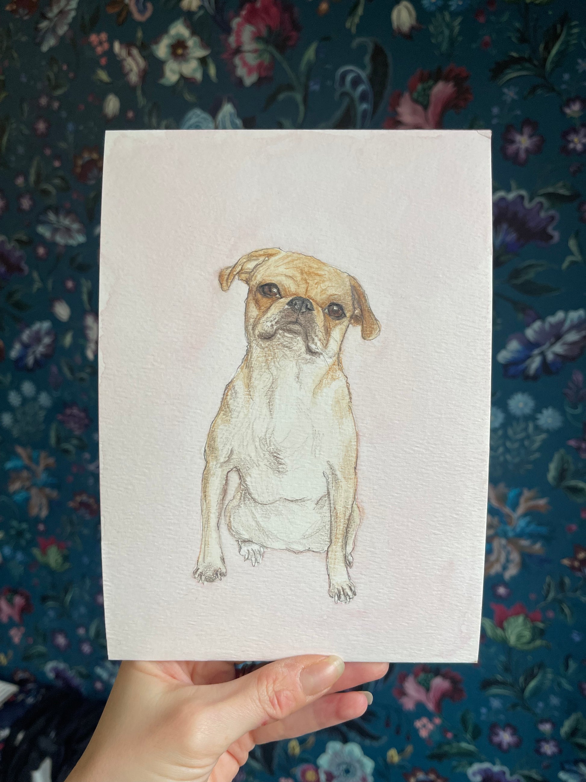 Watercolour Dog Portrait From Photo