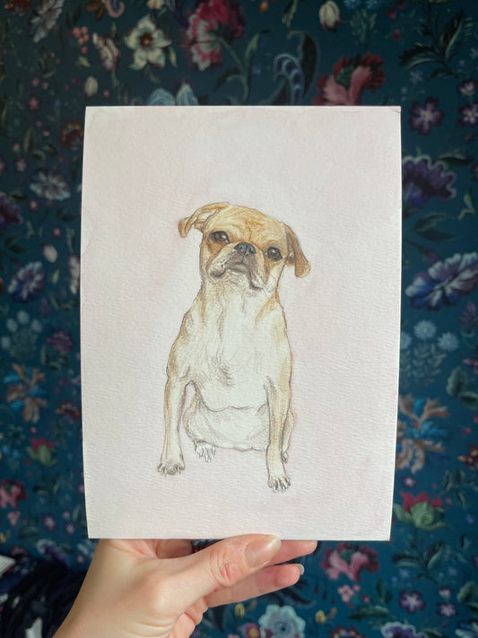 Watercolour Dog Portrait From Photo