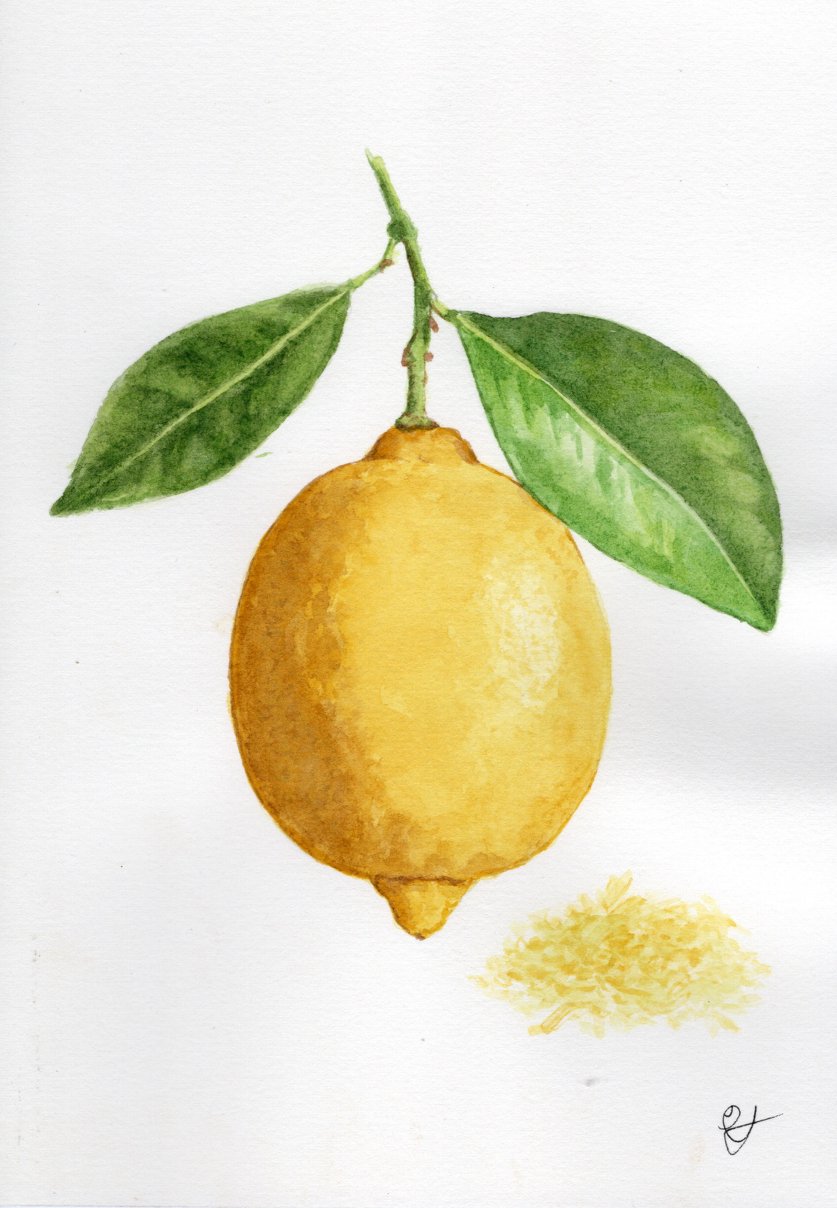 Watercolour painting of a yellow lemon with two green leaves on a stem, shown on a white background with a small yellow zest detail below.