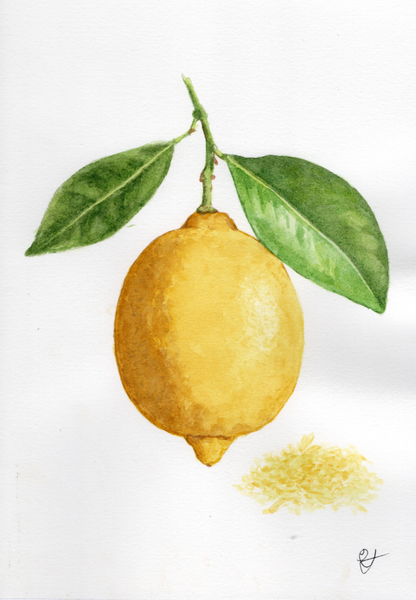 Watercolour painting of a yellow lemon with two green leaves on a stem, shown on a white background with a small yellow zest detail below.