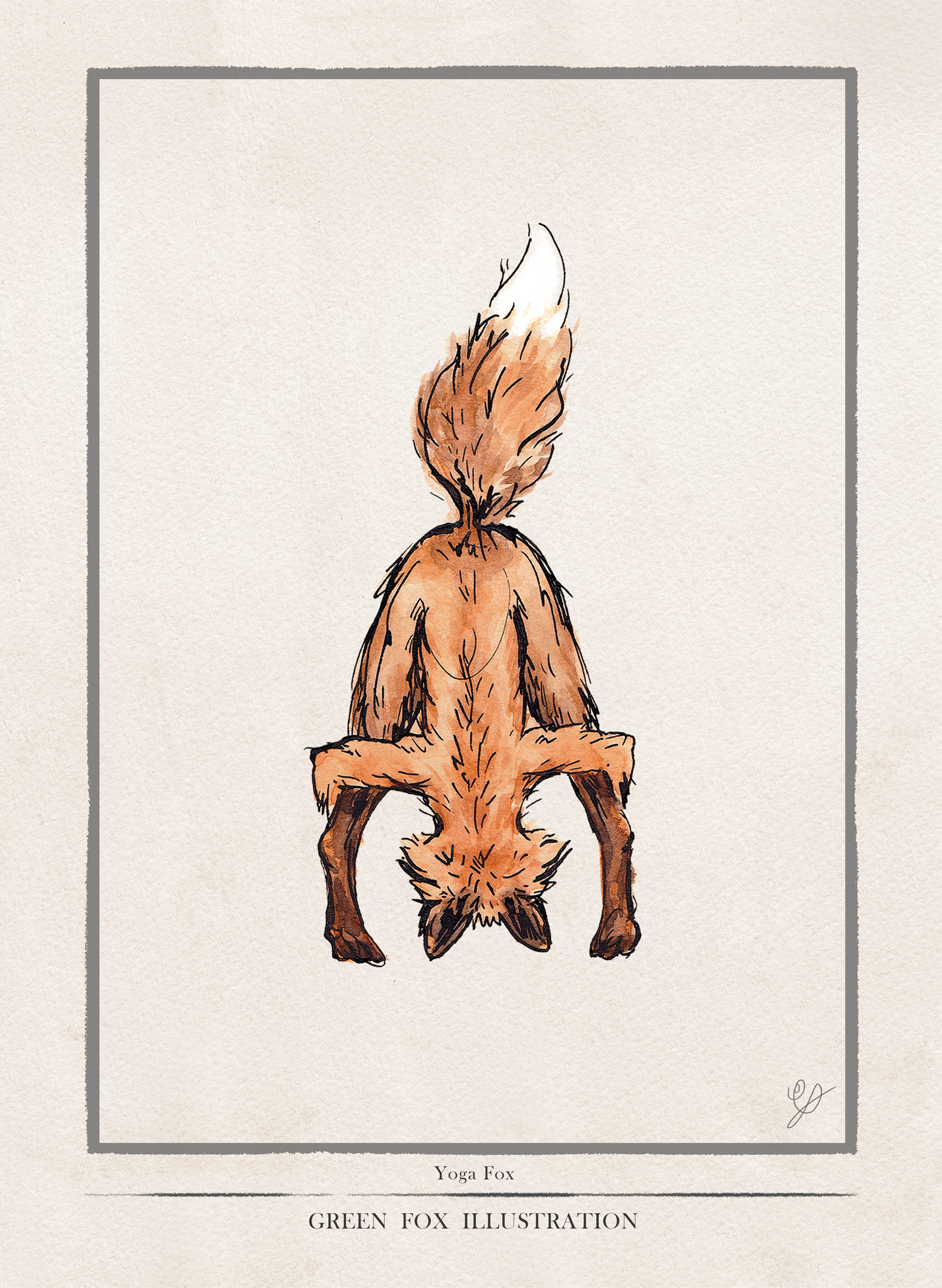 Yoga Fox Poster