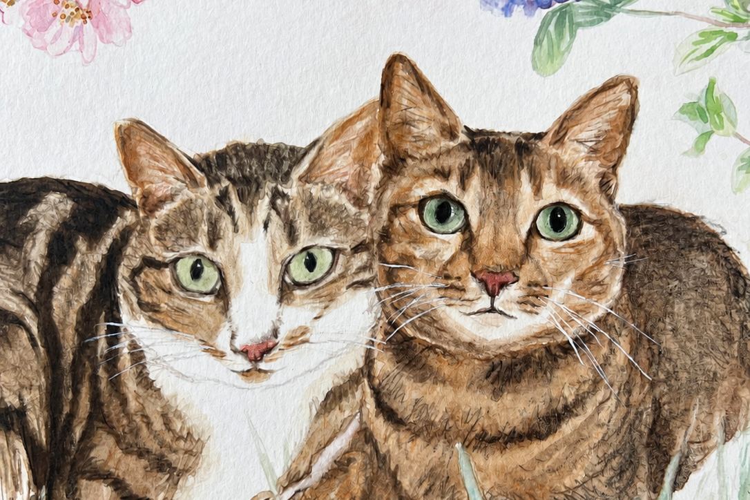 Custom Cat Portrait – Personalised Watercolour Painting