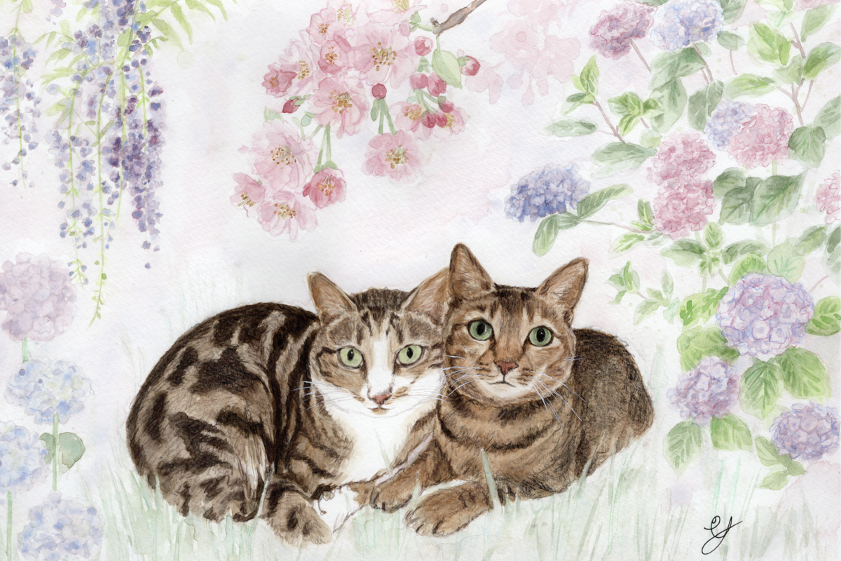 Custom Cat Portrait – Personalised Watercolour Painting