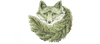 greenfoxillustration