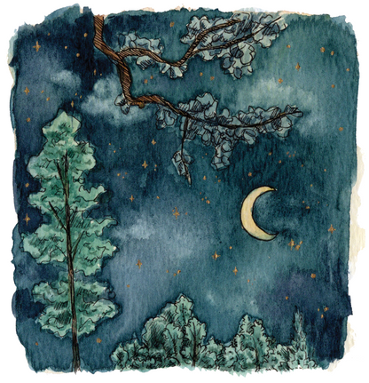 Forest At Night | Print