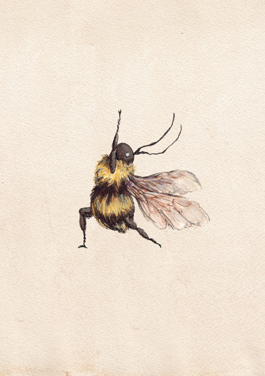 Illustration of a bee doing yoga in ink and watercolour 