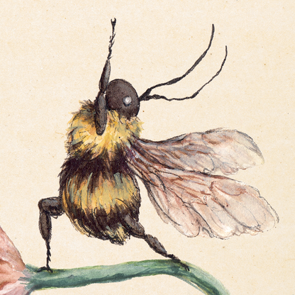 a bee doing yoga illustrated in watercolour