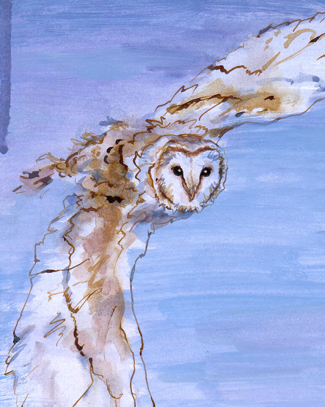 Athena's Owl | Print