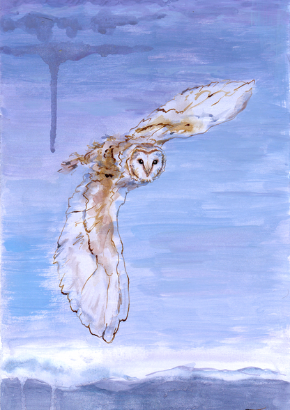 Athena's Owl | Print